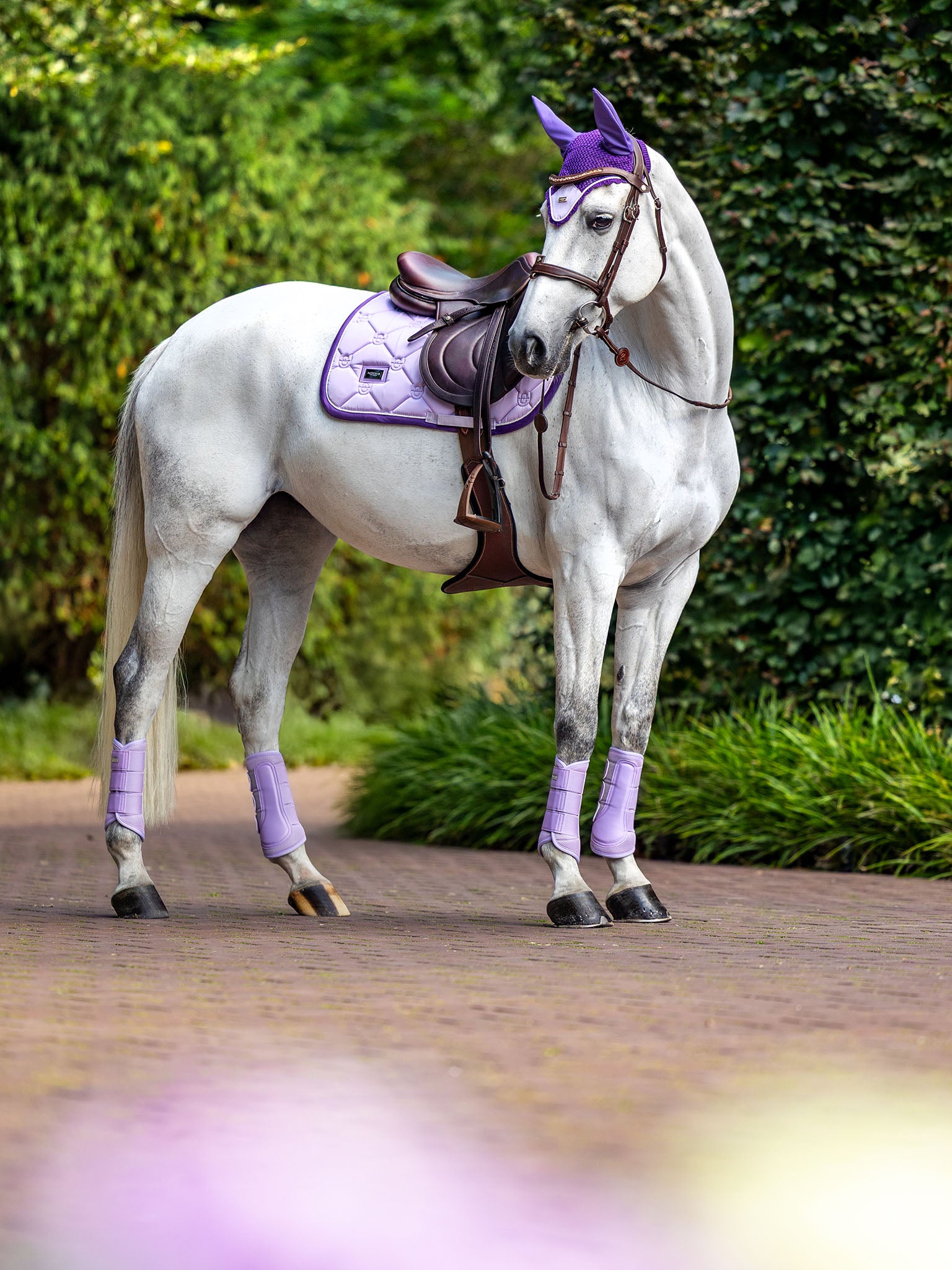 Jump Saddle Pad Lavender Pearl - Image 2